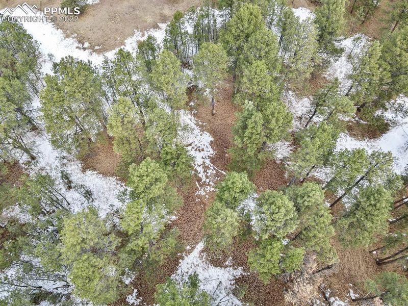 8075 Woodcrest Dr, Colorado Springs, CO 80908