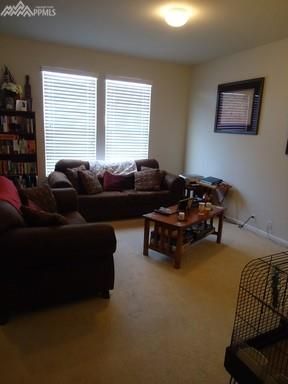 8093 Elk River Vw, Fountain, CO 80817