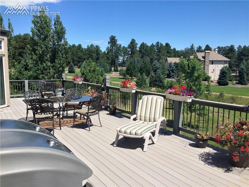 810 E Caspian Ct, Monument, CO 80132
