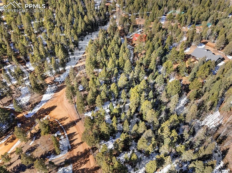 810 Ridge Rd, Divide, CO 80814