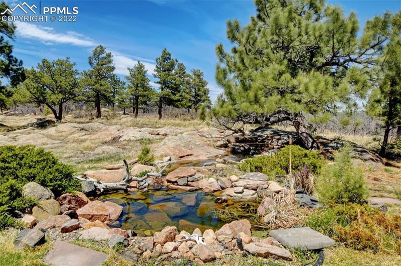 810 E Rim Rd, Franktown, CO 80116