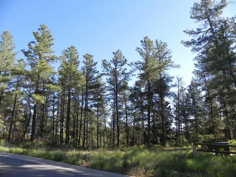 8112 Inca Rd, Larkspur, CO 80118