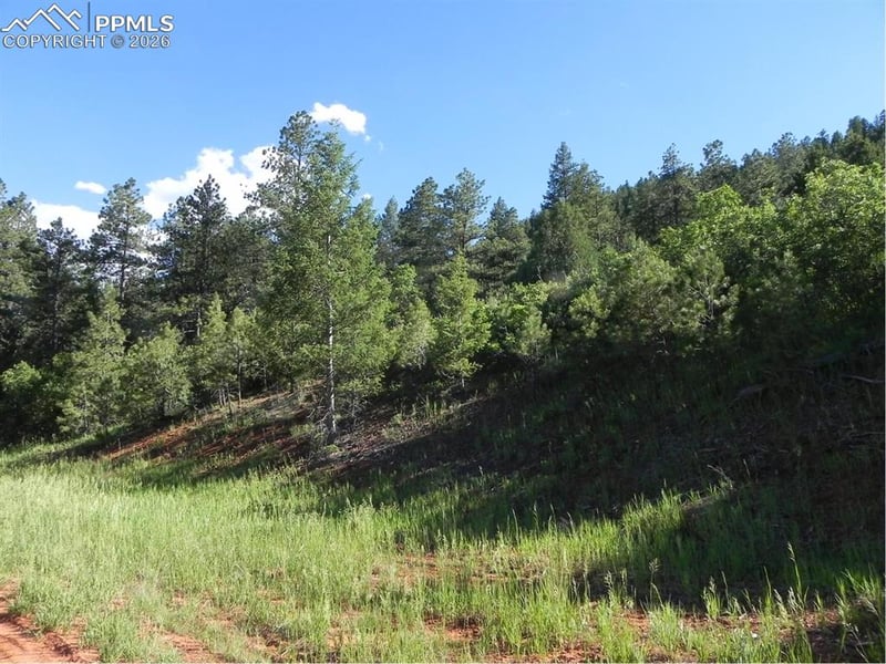 8117 Acoma Dr, Larkspur, CO 80118