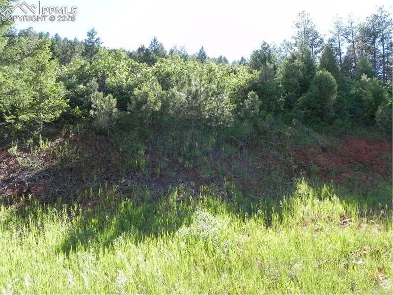 8117 Acoma Dr, Larkspur, CO 80118