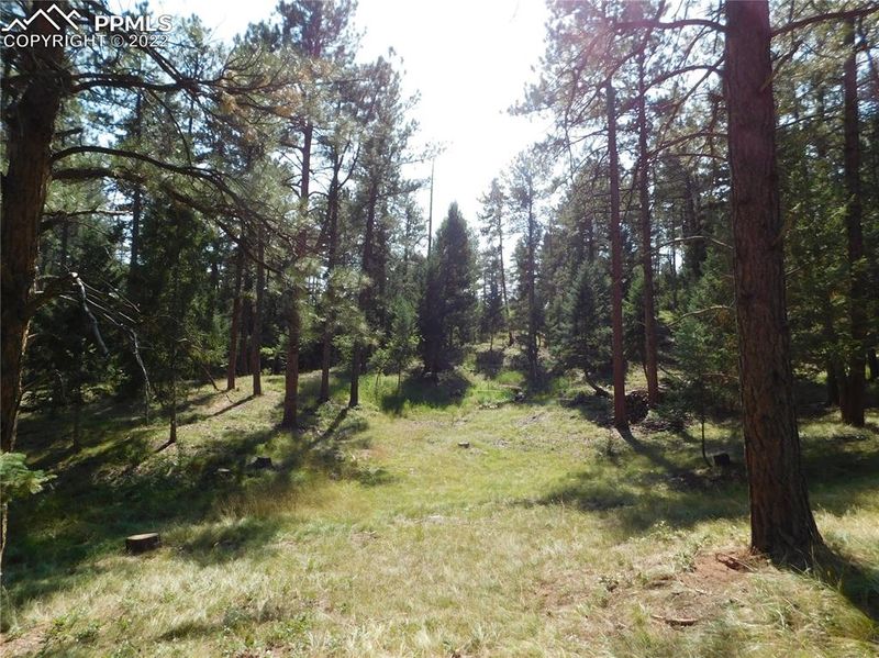 8121 Bannock Dr, Larkspur, CO 80118