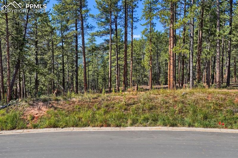 8131 Delaware Pl, Larkspur, CO 80118
