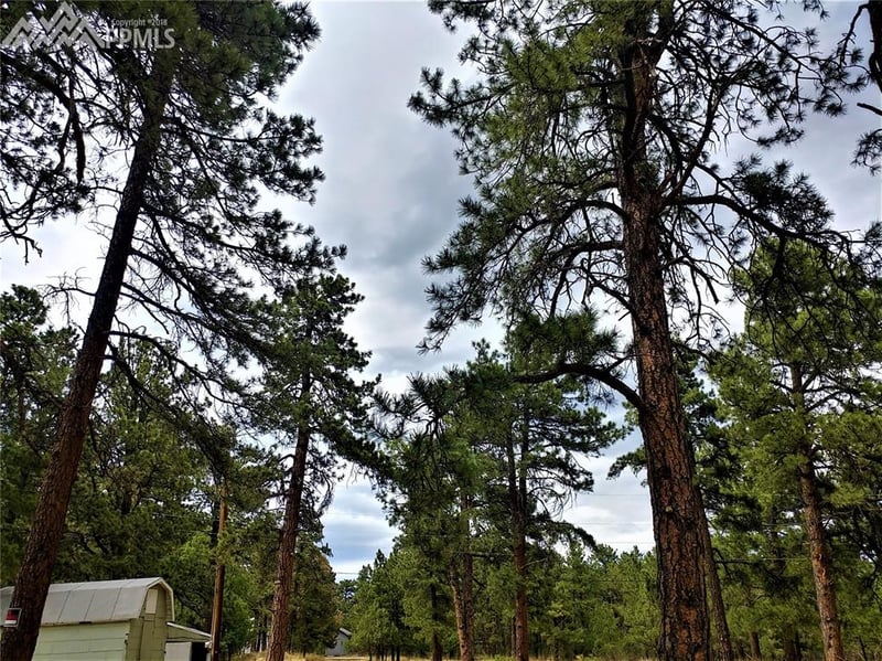 8137 S Oak Dr, Pueblo, CO 81069