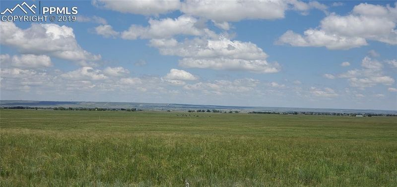 8155 Buckskin Ranch Vw, Peyton, CO 80831