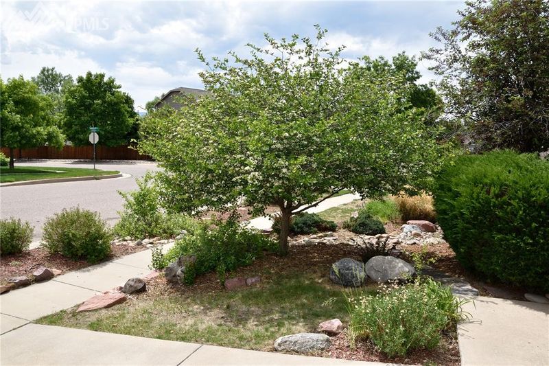 8155 Radcliff Dr, Colorado Springs, CO 80920
