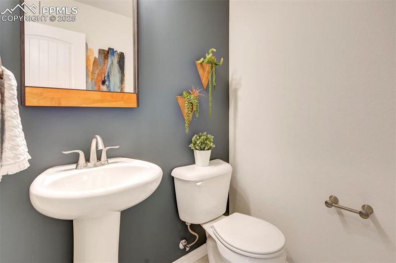 8189 Sophia Ln, Falcon, CO 80831