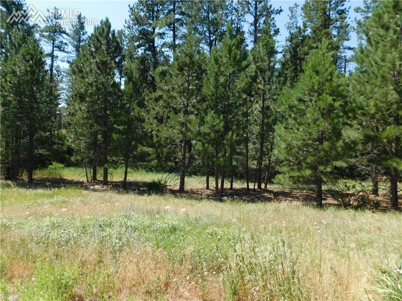 8203 Bannock Dr, Larkspur, CO 80118