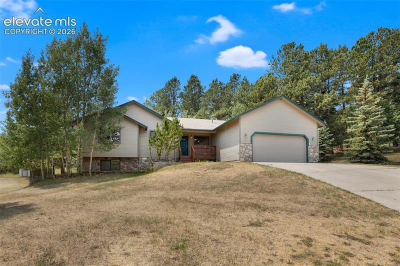 821 Red Eagle Ct, Woodland Park, CO 80863