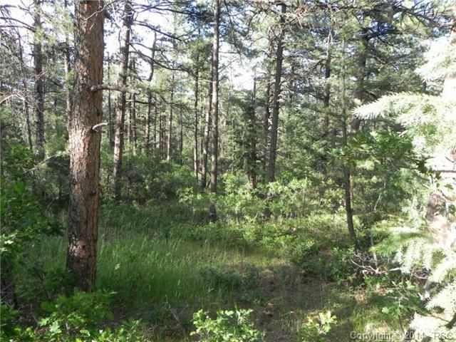 8230 Acoma Dr, Larkspur, CO 80118