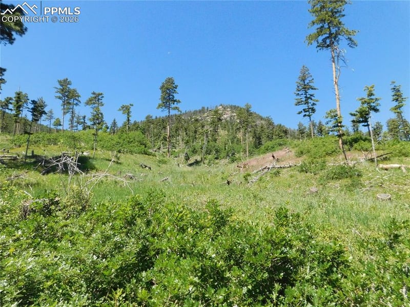 8249 Yuma Cir, Larkspur, CO 80118