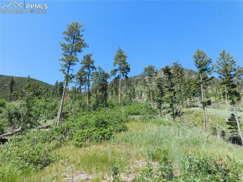 8249 Yuma Cir, Larkspur, CO 80118