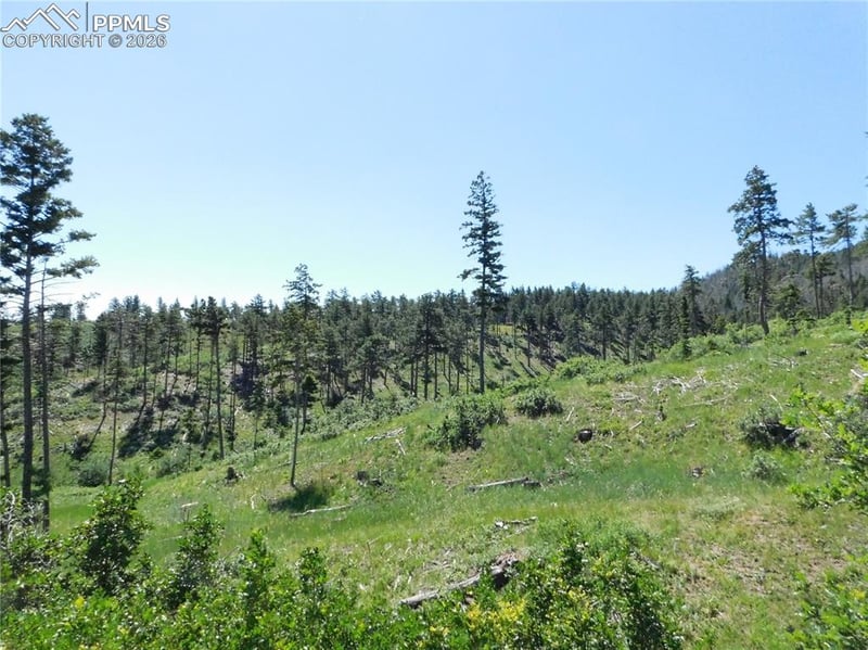 8249 Yuma Cir, Larkspur, CO 80118