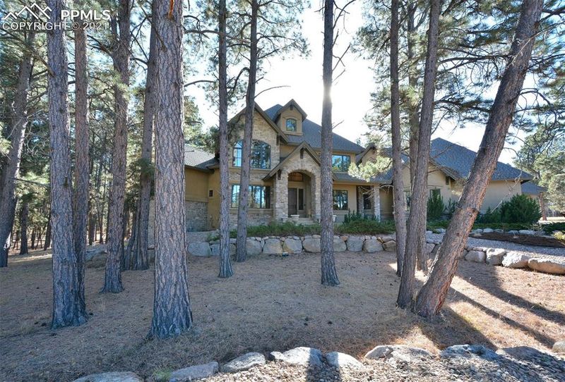 825 E Caspian Ct, Monument, CO 80132