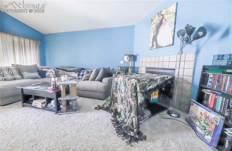 8254 Silver Glen Dr, Fountain, CO 80817