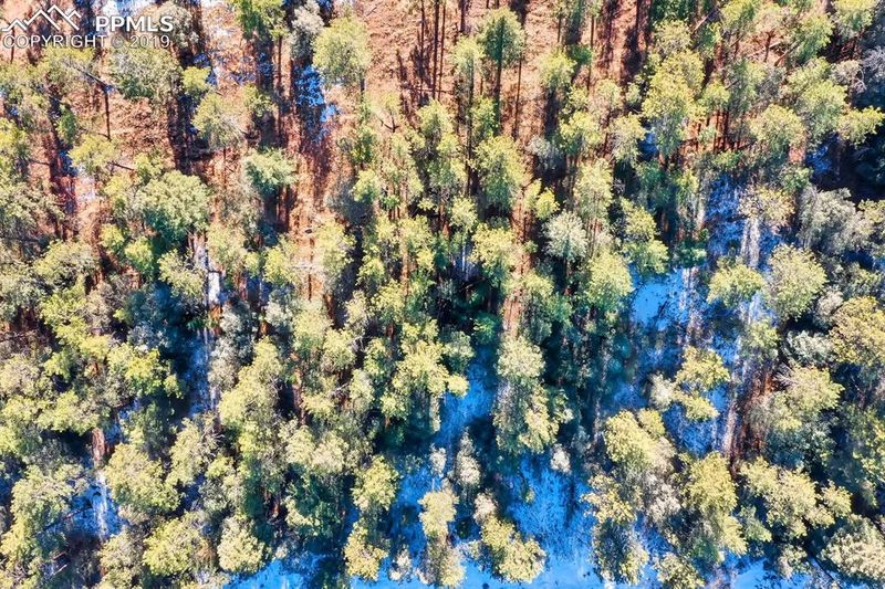 8267 Bannock Dr, Larkspur, CO 80118
