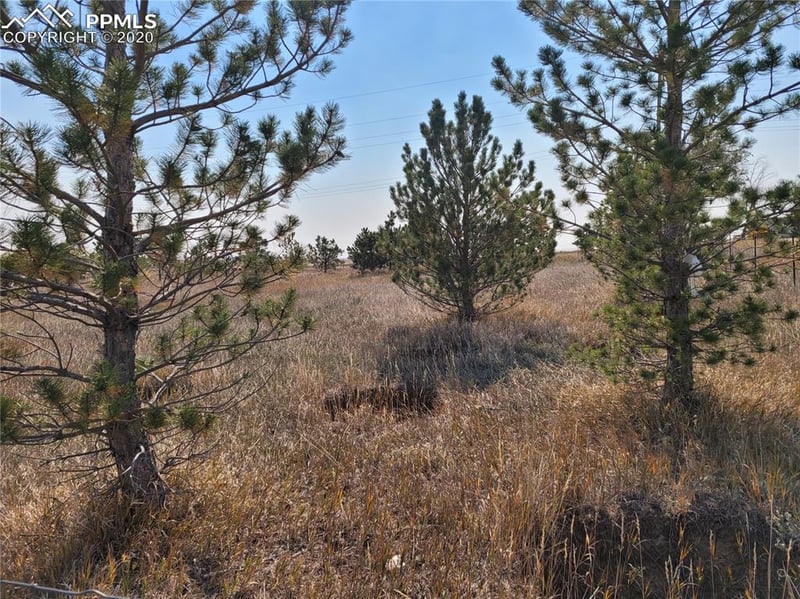 828 Ute Ave, Simla, CO 80835
