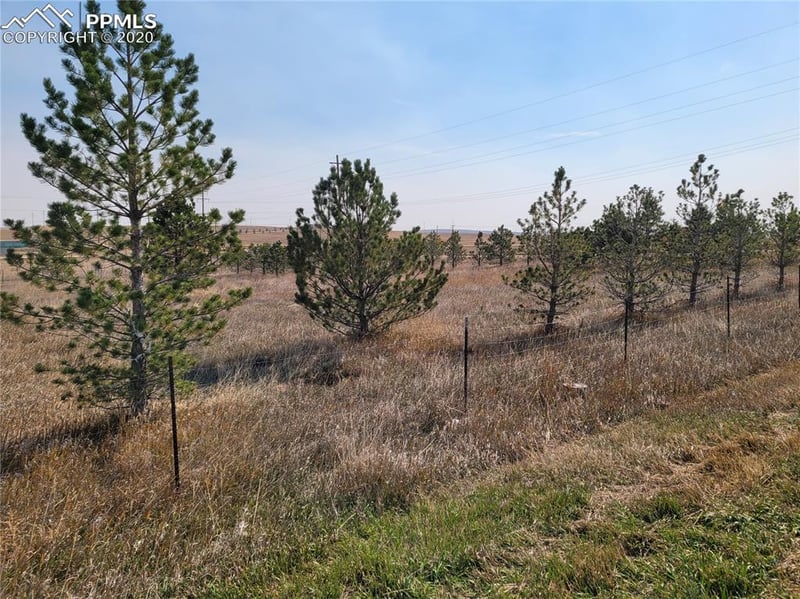 828 Ute Ave, Simla, CO 80835
