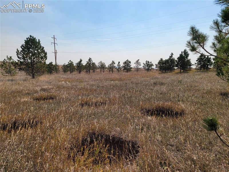 828 Ute Ave, Simla, CO 80835