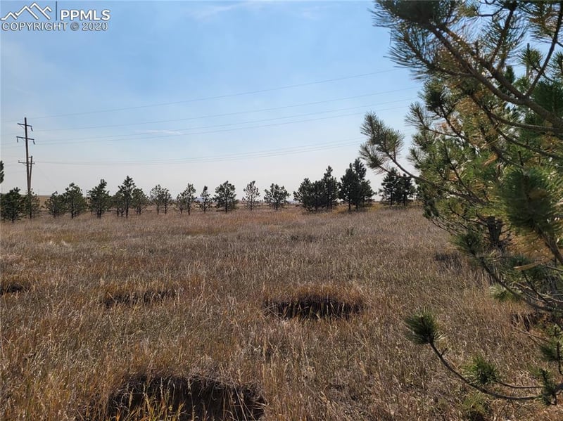 828 Ute Ave, Simla, CO 80835