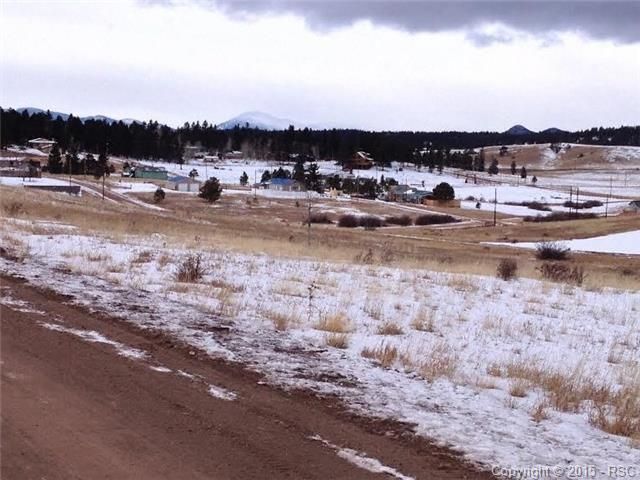829 Maid Marian Dr, Divide, CO 80814