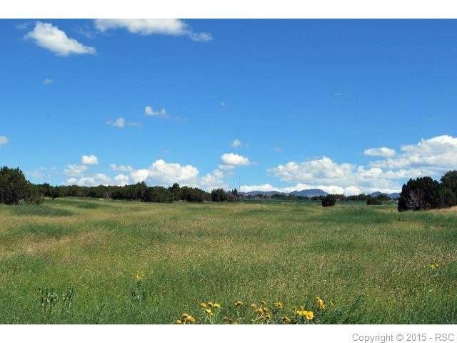 831 Cedar Hills Rd, Penrose, CO 81240