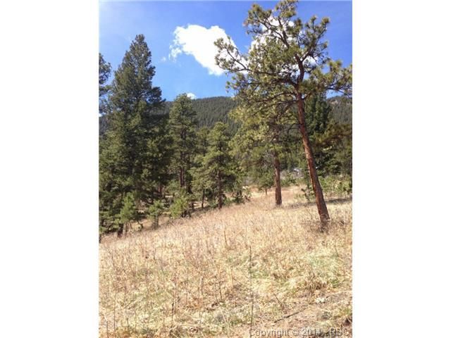 8315 Aspenglow Ln, Cascade, CO 80809