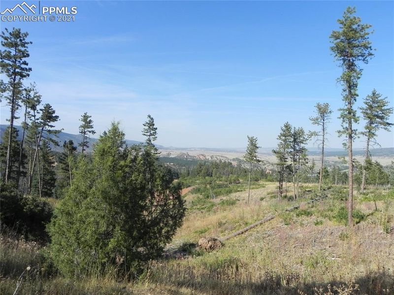 8370 Yuma Cir, Larkspur, CO 80118