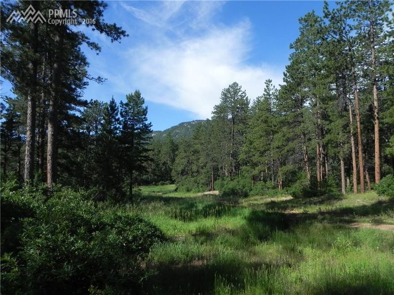 8385 Quivas Rd, Larkspur, CO 80118
