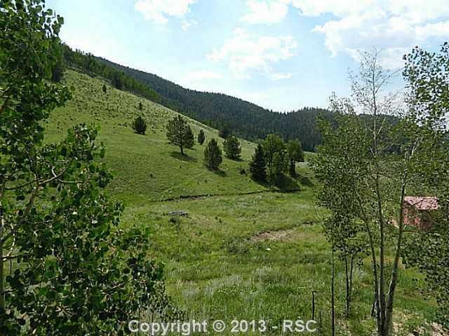 84 County Road 62, Divide, CO 80814
