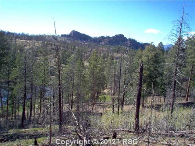 84 Kjelstrup Dr, Sedalia, CO 80135