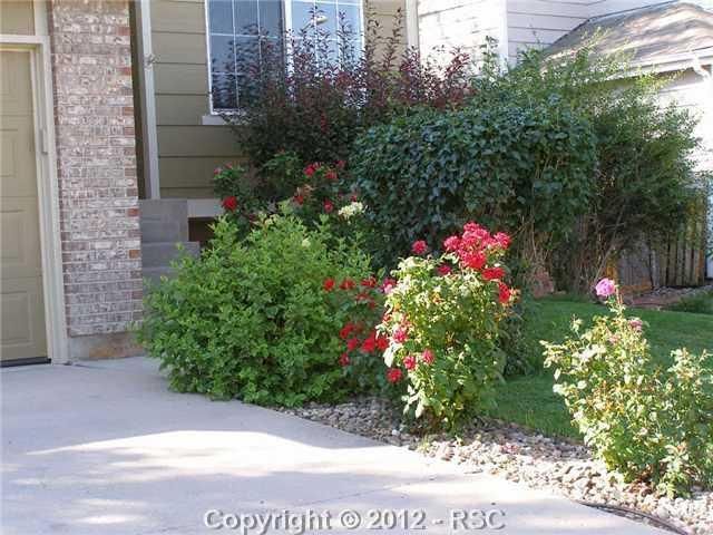842 Hayloft Dr, Fountain, CO 80817