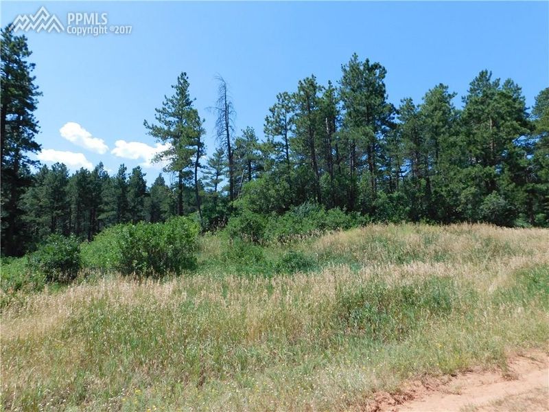 8435 Crow Pl, Larkspur, CO 80118