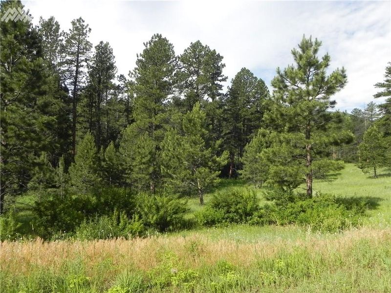 8436 Crow Pl, Larkspur, CO 80118
