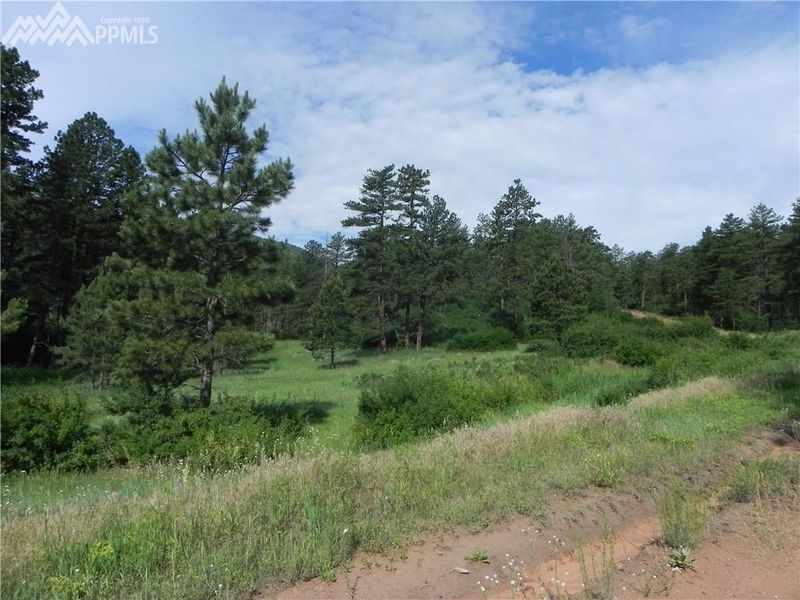 8436 Crow Pl, Larkspur, CO 80118