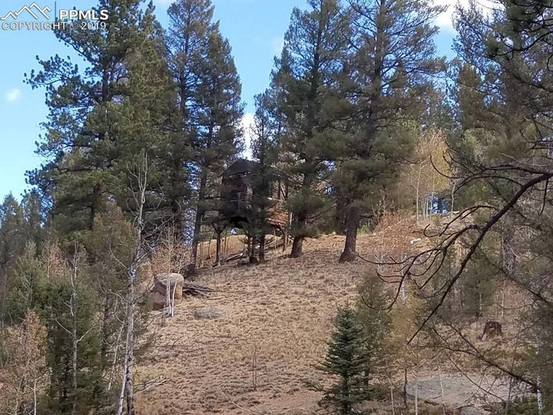 848 E Bison Creek Trl, Divide, CO 80814