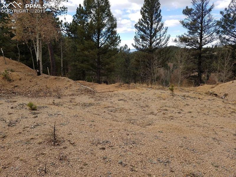 848 E Bison Creek Trl, Divide, CO 80814