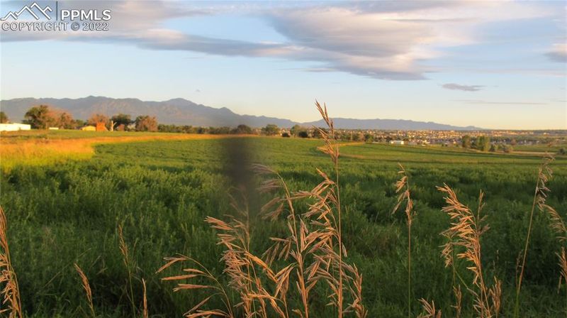 8535 Ermel Rd, Fountain, CO 80817