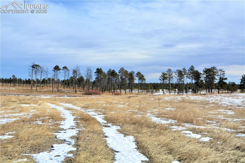 8542 Sanctuary Pine Dr, Colorado Springs, CO 80908