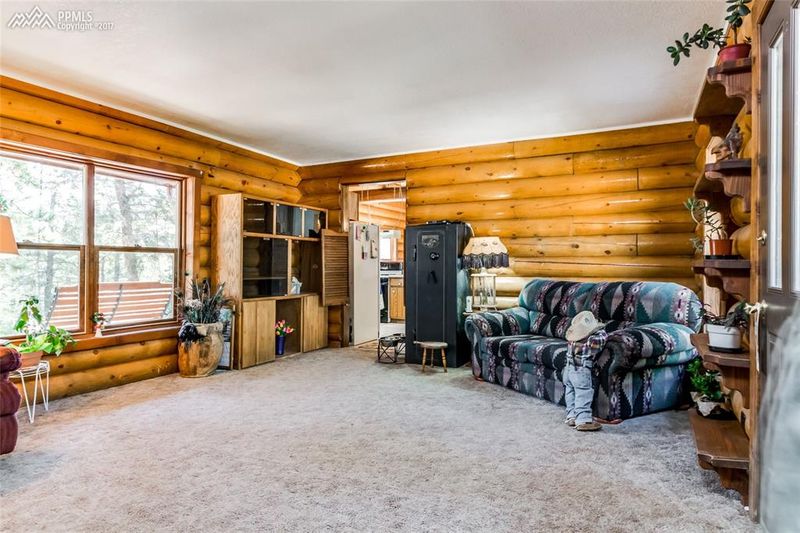 8616 Cedar Mountain Rd, Divide, CO 80814