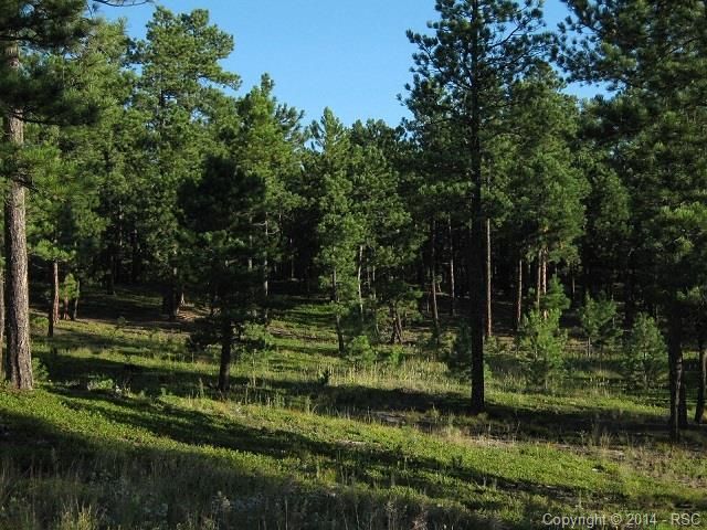 865 Scottswood Dr, Monument, CO 80132