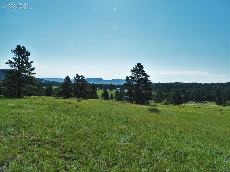 8653 N Teacup Grove Rd, Elbert, CO 80106