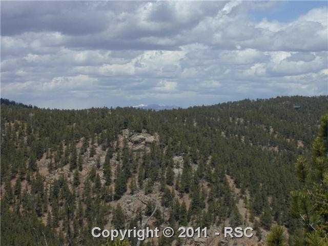 87 Blue Spruce Rd, Divide, CO 80814