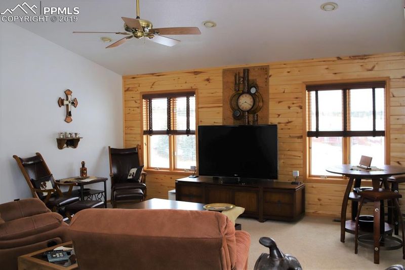 87 Divide South Dr, Divide, CO 80814