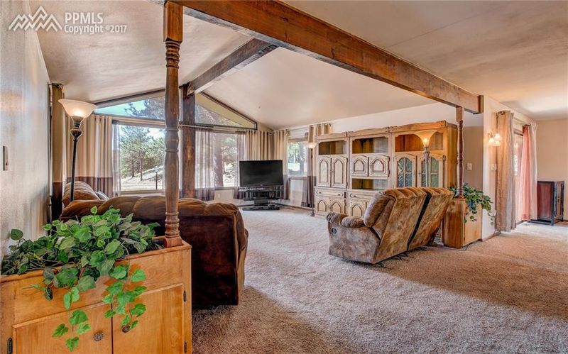 87 Piney Point Ln, Woodland Park, CO 80863