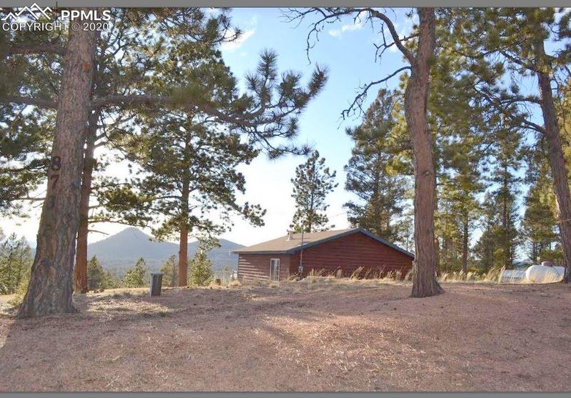 873 Spring Creek Dr, Divide, CO 80814