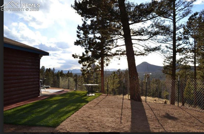 873 Spring Creek Dr, Divide, CO 80814
